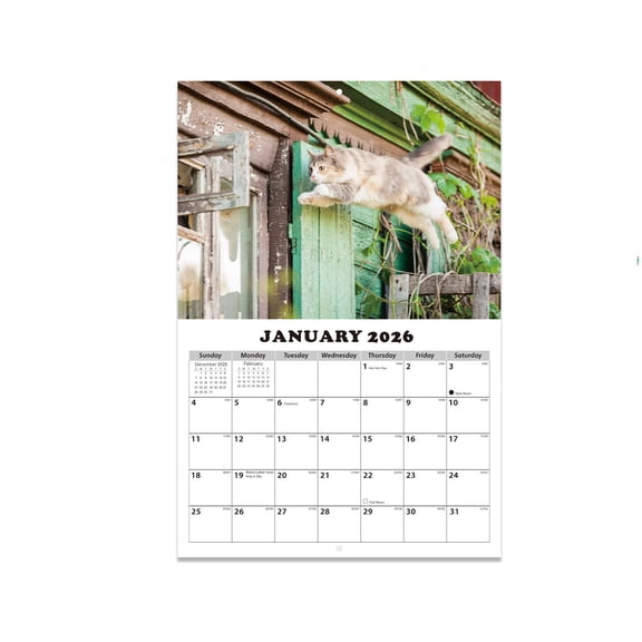 Cat English Calendar 2026, Cute Cat Design Wall Calendar, 13 Monthly Planner, from Jan. 2026 to Jan. 2027 for Students Teachers Consultants Freelancers Studio Workshop