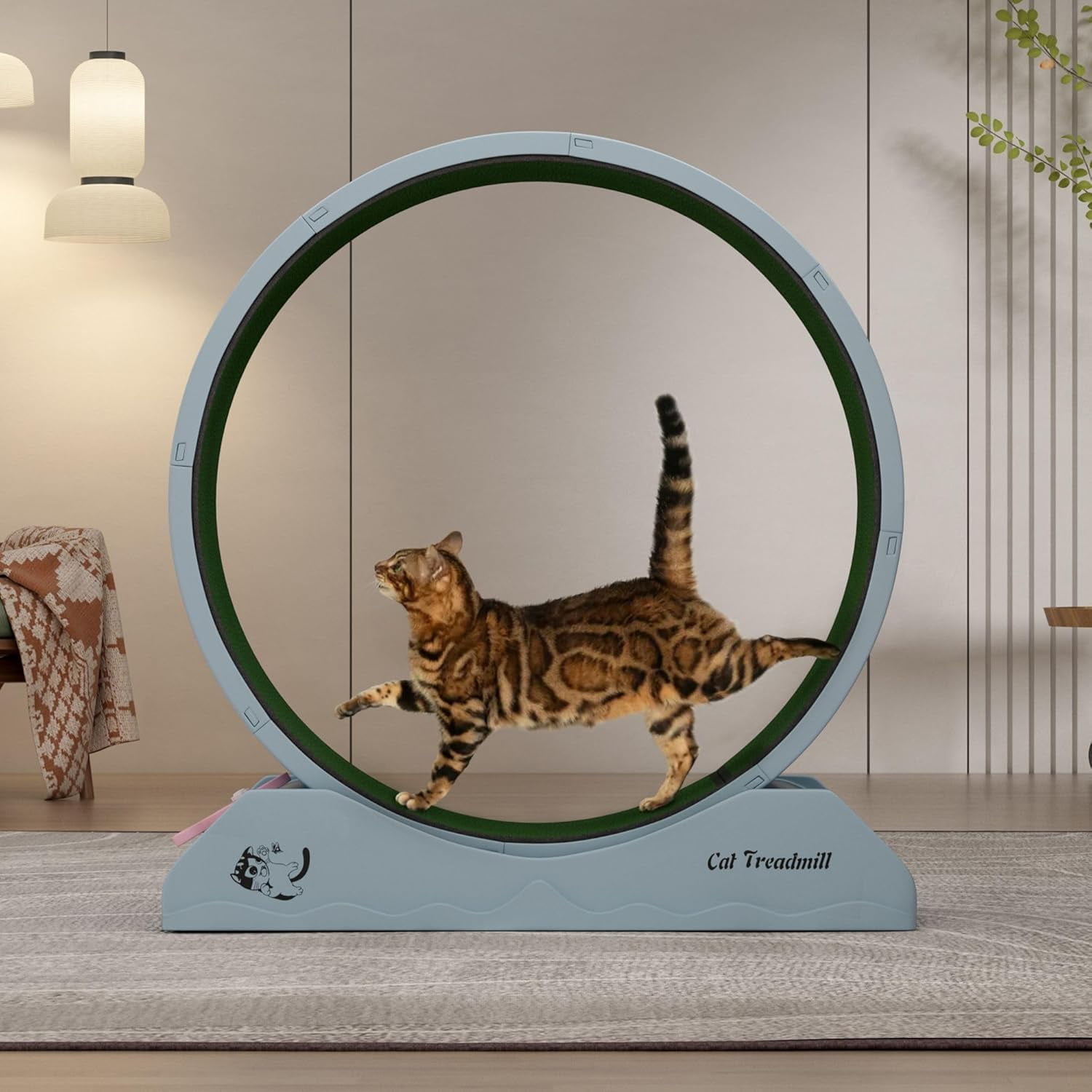 Curated visual reference: Cat Exercise And Play Structure Reference: Cat Exercise Wheel 31 5 Inch Cat Treadmill For Indoor