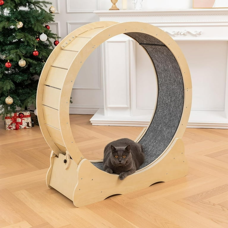 Cat Exercise Wheel Ferris Cat Wheel Exerciser for Indoor Cats Cat Treadmill Wheel with Carpeted Runway One Fast Cat Exercise Wheel Cat Runner Great