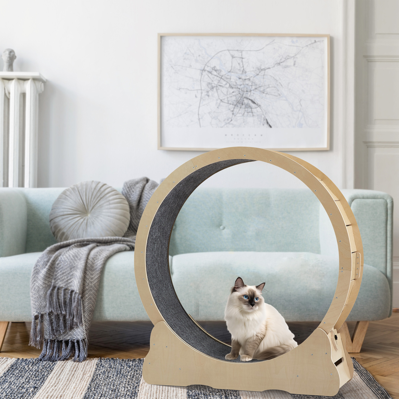 Cat Exercise Wheel, Indoor Cat Treadmill with Carpeted Running Track ...