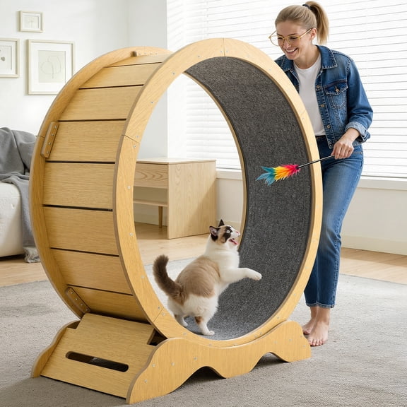 DOMIPET Cat Exercise Wheel for Indoor Cats, 45.3" Kitty Cat Treadmill Treadwheel with Removable Carpet, XLarge Quiet Interactive Running Training Toy for Cats Outdoor
