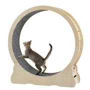 CQSXDA Treadmill Cat Exercise Wheel Weighted Wheel Safe Running Track Silent Wheels Easy Assembly