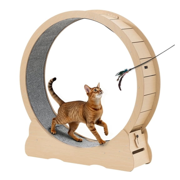 Cat Exercise Wheel, Wooden Cat Wheel for Indoor Cats up to 28 lbs, Quiet Kitten Treadmill with Carpet, Locking Wheel & Teaser Toy