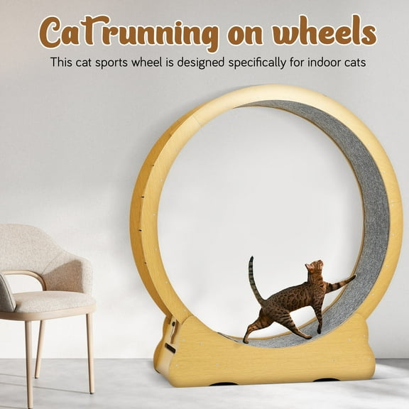 Cat Exercise Wheel for Indoor Cats: Quiet Running Pet Treadmill with Scratcher Surface for Weight Loss - Easy to Assemble