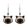 thumbnail image 1 of Cat Face Animal Graphic Dangle Earrings - Womens Fashion Handmade Jewelry Pet Lover Accessories, 1 of 1