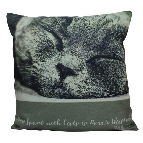 Cat | Face | Cat Pillow | Cute Cat | Cat Gifts | Cat Decor | Cat Photo | Gifts for Cat Lovers | Accent pillow | Throw Pillow Covers