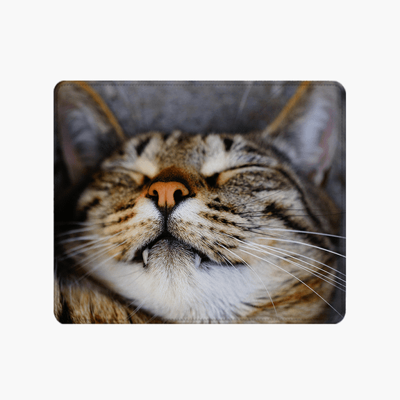 Cat Sleeping Close-Up Mouse Pad 9.44 x 7.87 Inches - Soft Polyester Desk Accessory for Home Office and Gaming