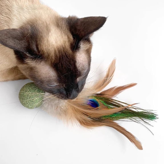 Cat Feather Jumping Ball, Elastic Ball Interactive Toy With Catnip, Peacock Feather Kitten Ball For Indoor Cats, Kitten Toy For Exercise & Entertainment