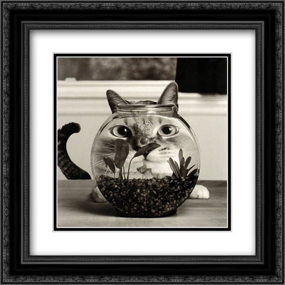 Cat Fish 2x Matted 20x20 Black Ornate Framed Art Print by Cydney Conger