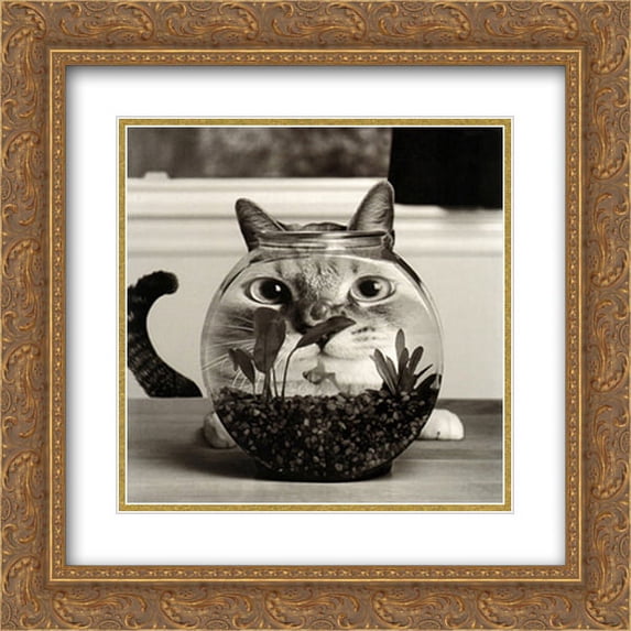 Cat Fish 2x Matted 20x20 Gold Ornate Framed Art Print by Cydney Conger