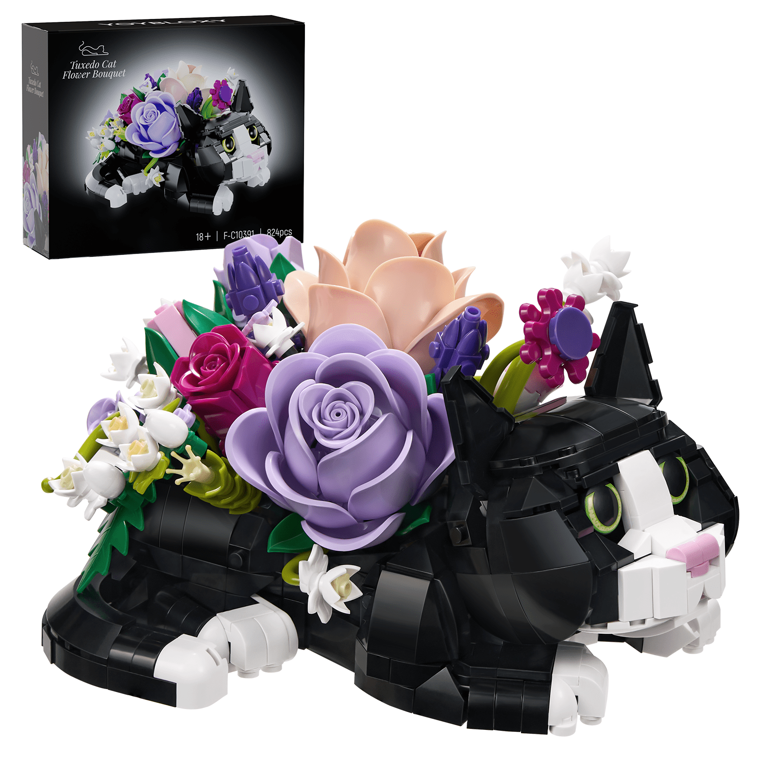 Tuxedo Cat Flowers Succulent Planter Building Blocks Botanical