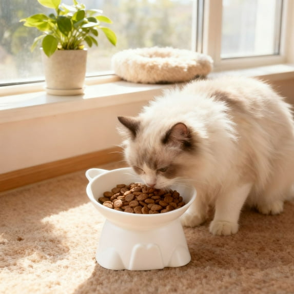 Cat Food Bowl, Elevated Kitten Water Bowl, Tilted Raised Pet Feeder, Anti Vomiting and Whisker Friendly Dishes for Fat Faced, Cat, Kitten, Small Dog