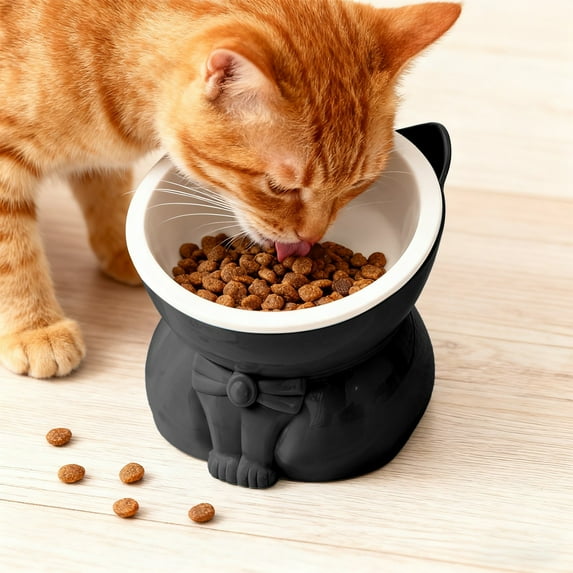 Cat Food Bowl, Gaqring Large Capacity Elevated Pet Bowl, Non-Slip Wide Shallow Plastic Cat Dish for Easy Feeding, Black