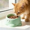 thumbnail image 1 of Cat Food Bowl, Tilted Cat Feeder Bowl Food Dispenser,Living Room Home Travel Indoor Watering Feeding Dish Cat Food Bowl,for Pets Small Dogs(1PC), 1 of 6