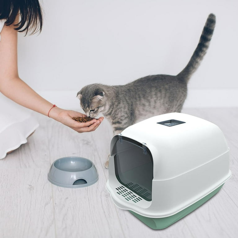 Toilet top cat litter