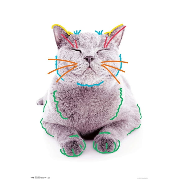 Cat - Funny Face Wall Poster, 14.725" x 22.375"