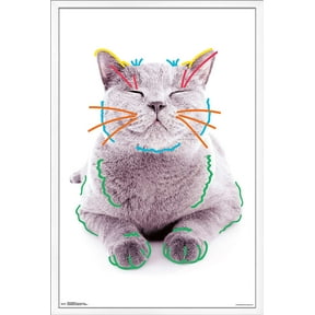 Cat - Funny Face Wall Poster, 22.375" x 34", Framed