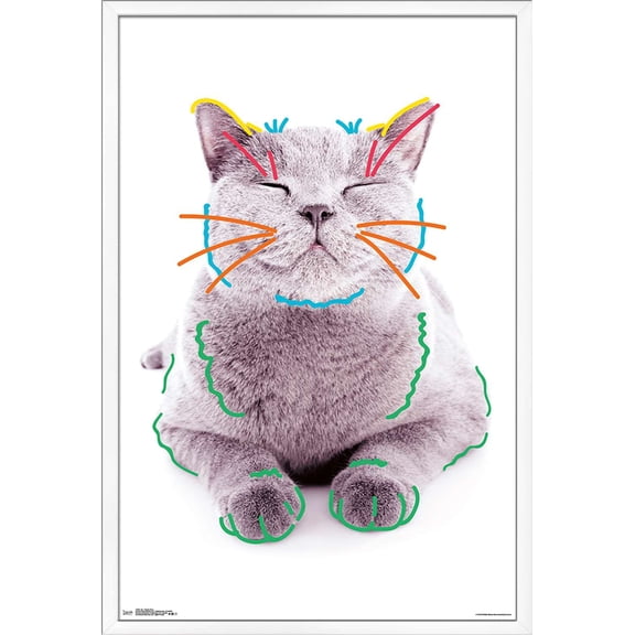 Cat - Funny Face Wall Poster, 22.375" x 34", Framed