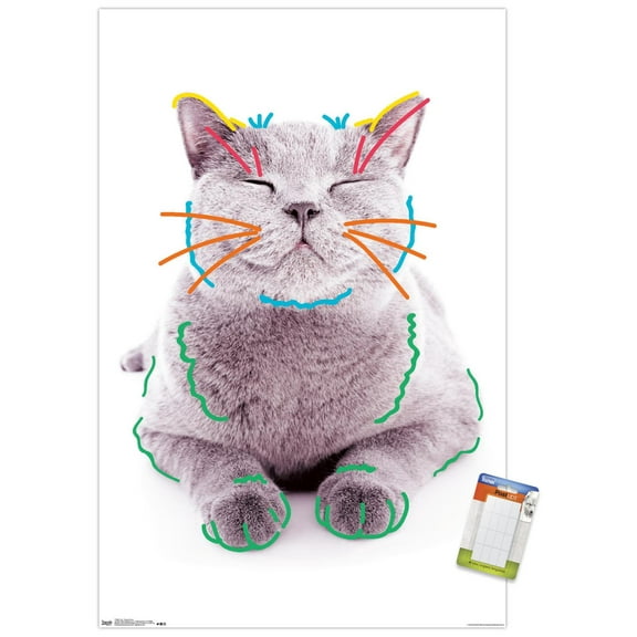 Cat - Funny Face Wall Poster, 22.375" x 34"