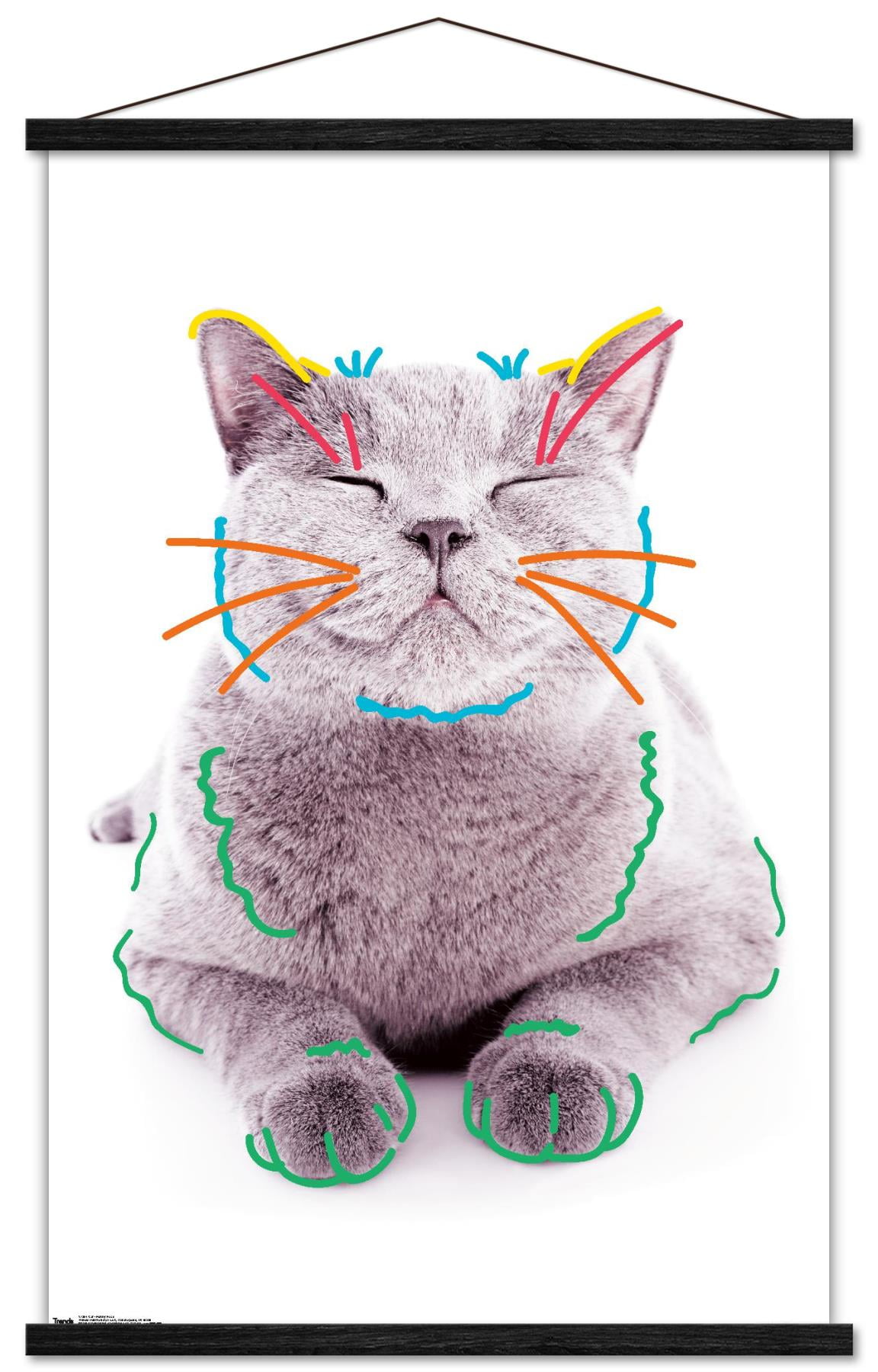 Cat - Funny Face Wall Poster with Wooden Magnetic Frame, 22.375" x 34"