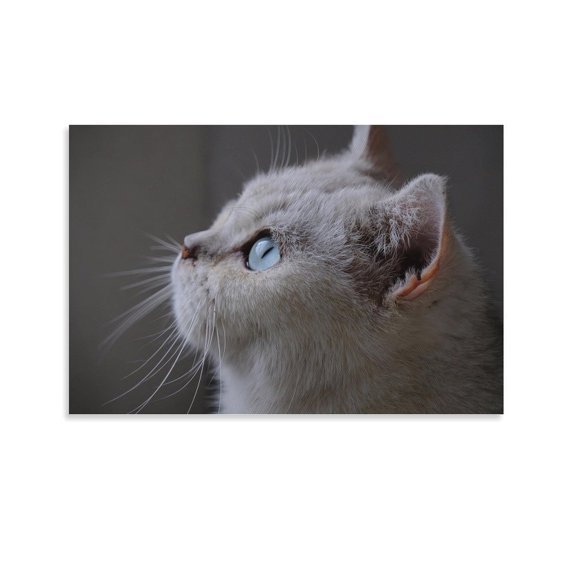 Cat Furry Cute Animal-c Canvas Art Poster and Wall Art Picture Print Modern Family bedroom Decor Posters 08x12inch(20x30cm)