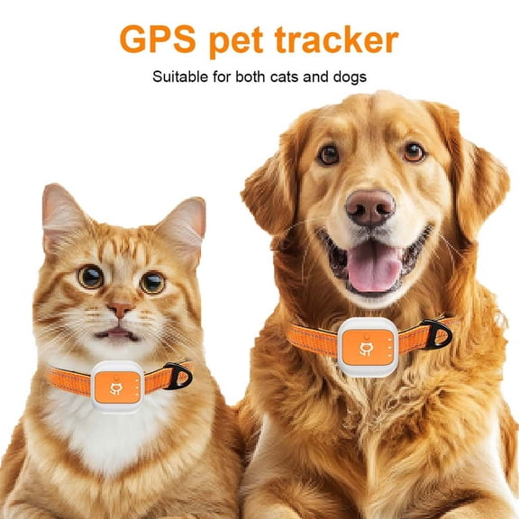 Cat GPS Tracker Collar - Real-Time Location Tracking, Virtual Fence, Daily Historical Route, Activity Monitor & Sound Light Alert
