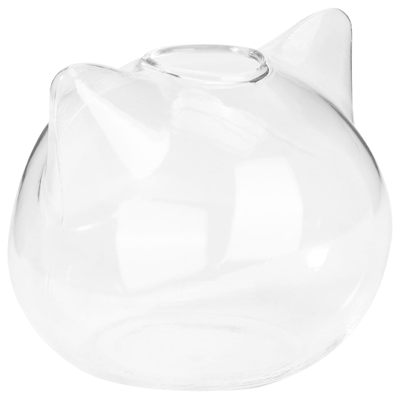 Cat Glass Vase Plant Terrarium with Wooden Stand Indoor Flower