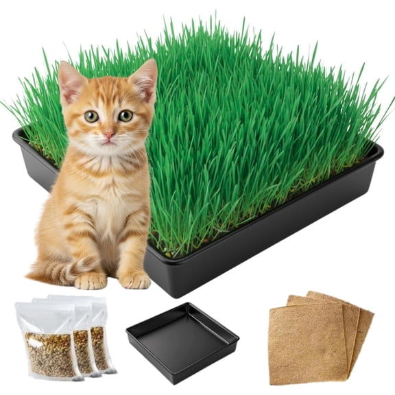 Cat Grass Growing Kit - Organic Seed, Jute Grow Mats, 10 x 10 Grow Container - Great for Indoor or Outdoor Cat, Dogs and Other Pets - TRAYS NOT INCLUDED (Refill 3X Jute & 3X Seed Packets)