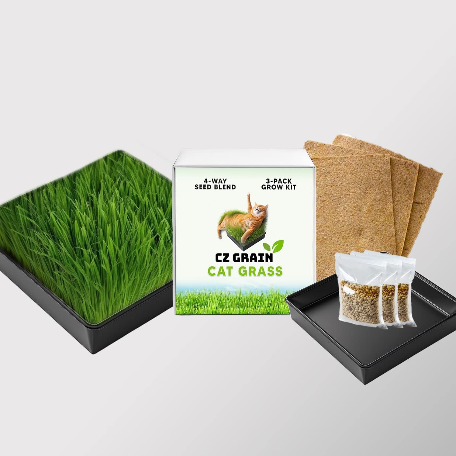 Cat Grass Growing Kit - Organic Seed, Jute Grow Mats, 10 x 10 Grow Container - Great for Indoor or Outdoor Cat, Dogs and Other Pets - Pet Grass (Cat Grass Kit with Soil)