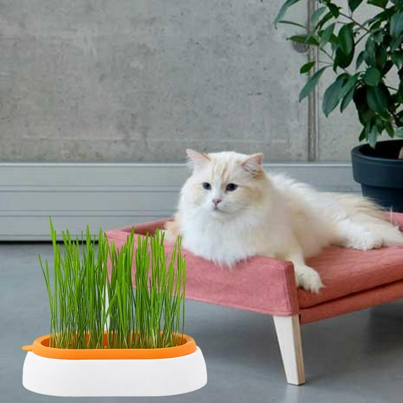 Cat Grass Growing Tray Seed Tray Pet Cats Grass Growing Reusable Soil Grass Sprouting Tray for Greenhouse White