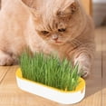 thumbnail image 1 of Cat Grass Hydroponic Planter, Self-Watering Soilless Growing Kit, Reusable BPA-Free Plastic with Drainage, Space Saving Indoor Pet Herb Garden, 1 of 5