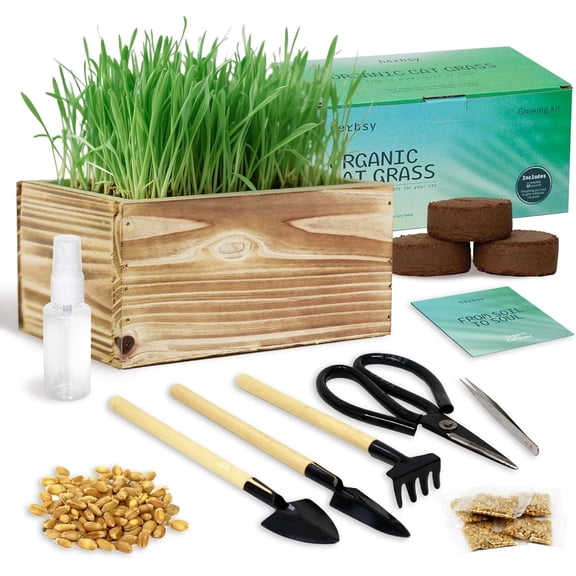 Cat Grass for Indoor Cats 5 Seed Packets | Cat Grass Seeds with Wooden Planter, Soil & Mini Gardening Tools for Nipping Pet Wheatgrass Grass, Gifts for Cat Lovers