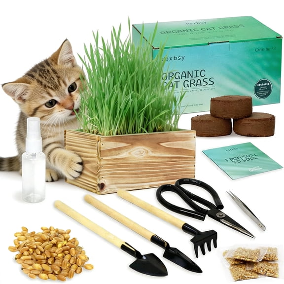 Cat Grass for Indoor Cats   Plant Growing Kits Wood Planter, Soil, and Mini Gardening Tools. Great for Your Pet's Well-Being: Helps Reduce Hairballs and Aids Digestion Gift for Cat Lovers