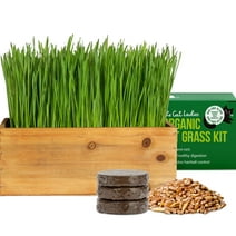 Cat Grass Kit (Organic) Complete with Rustic Wood Planter, Seed and Soil. Easy to Grow