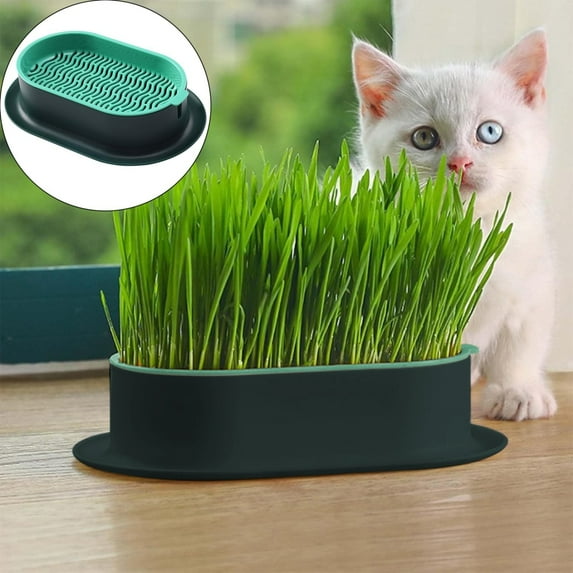 Cat Grass Planter for Indoor Hydroponic Sprouts Growing Kit (No Seeds Included) Wheatgrass Seed Sprout Tray Organic Cat Grass Growing Kit Soilless Pot Planting Box Plant Trays (Green)
