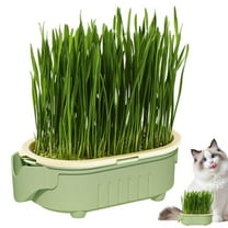 Cat Grass Planter Pet Grass Pot Wheatgrass Planting Trays Hydroponic Cat Grass Growing Kits for Indoor Cats Soilless Organic Nursery Box (No Seeds)