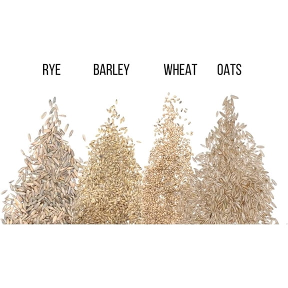 Cat Grass Seeds for Growing | 4 Way Blend, Rye, Wheat, Oats and Barley | Made in USA, Ships from Iowa. (1/2 Pounds)