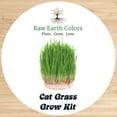 Walmart Premium Wheatgrass Cat Grass Seeds Planting Kit for Indoor