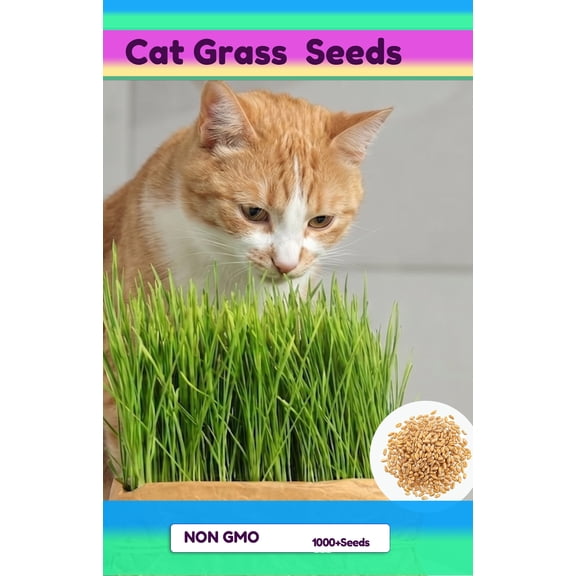 Cat Grass Seeds for Indoor Growing-1000+ Oat Grass, Wheat Grass, Barley Pet Grass Seeds Mix, Cat Grass Kit for Indoor Planters