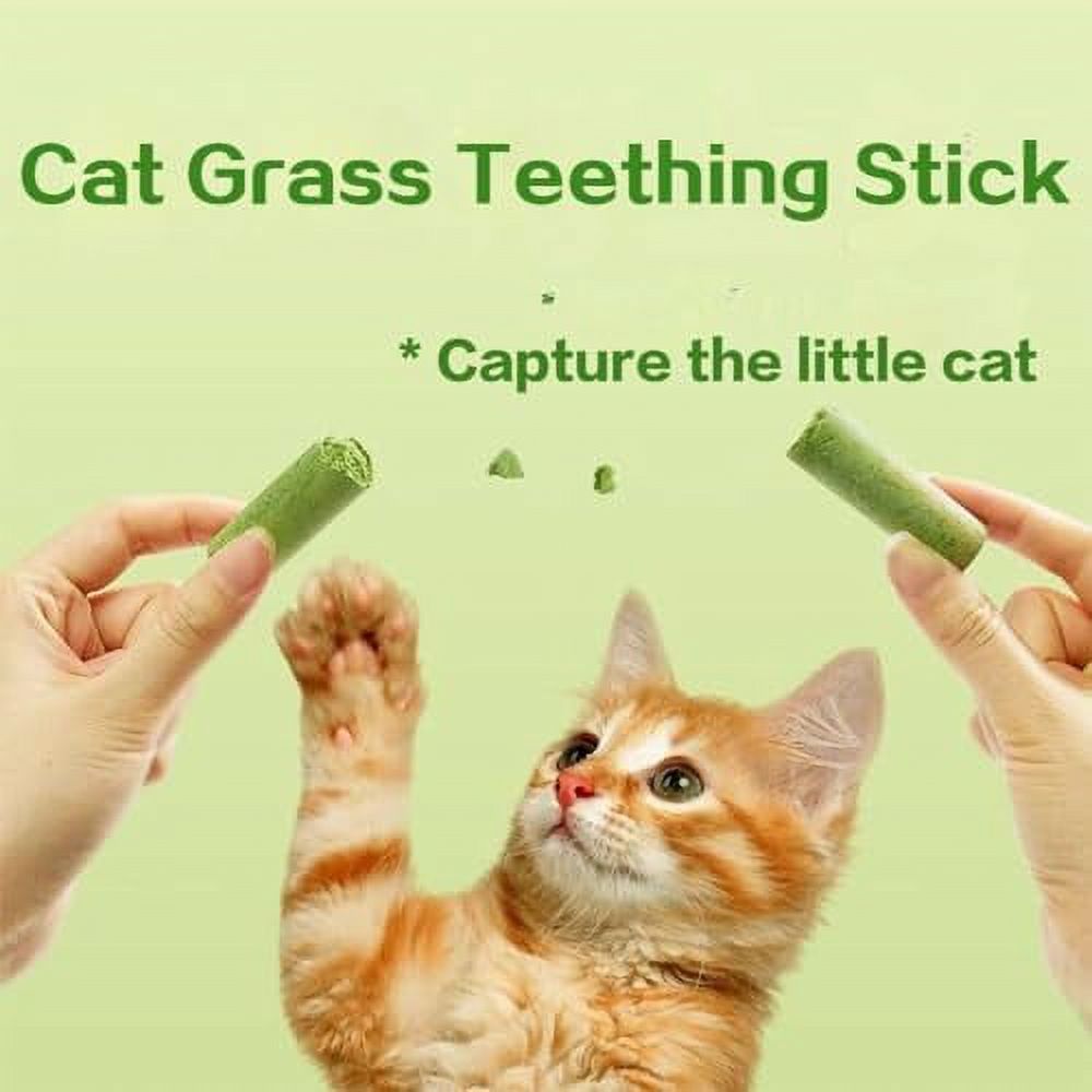 Cat Grass Teething Stick, Cat Grass Teething Stick Cuddles and Meow