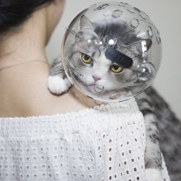 Cat Grooming Muzzle with Ears Breathable Restraint for Nail Trimming Bathing and Handling