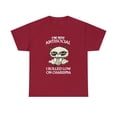 thumbnail image 1 of Cat Grumpy Im Not Antisocial I Rolled Low On Charisma Tshirt, 1 of 1