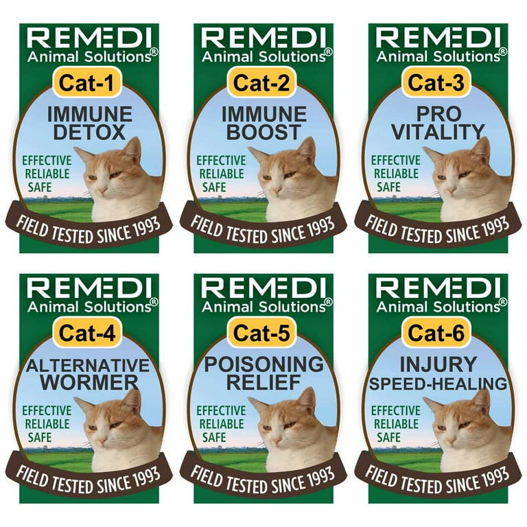 Cat perfectionistic food poisoning treatment