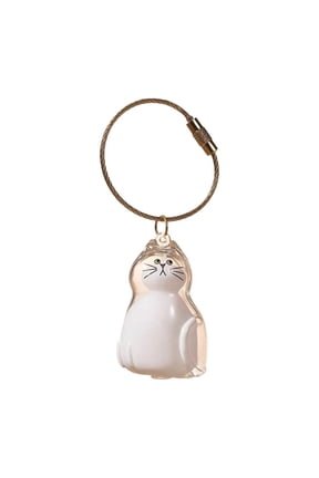 Cat Hair Keepsake Keychain - Pet Fur Memorial Capsule Pendant for Cat Lovers