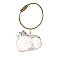 thumbnail image 1 of Cat Hair Storage Bottle - Keychain for Collecting Cat and Dog Hair,Pet Lover Collecting Gift(3.93Inch,D), 1 of 1