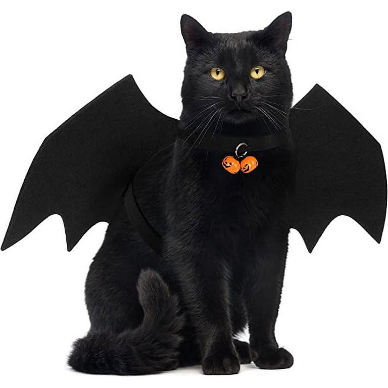 Cat dressed up for halloween top