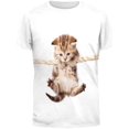 thumbnail image 1 of Cat Hanging Kitty All Over Adult T-Shirt - X-Large, 1 of 2