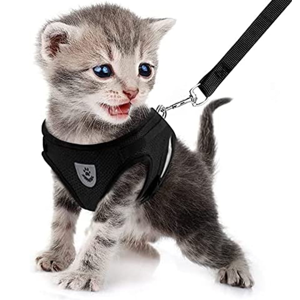 Cat Harness And Leash Set For Walking Escape Proof, Kitten Adjustable Small Large Lightweight