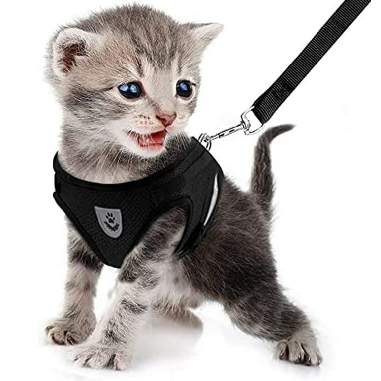 Cat Harness And Leash Set For Walking Escape Proof Kitten Adjustable Small Large Lightweight Soft Vest Harness And Leash S Black Walmart