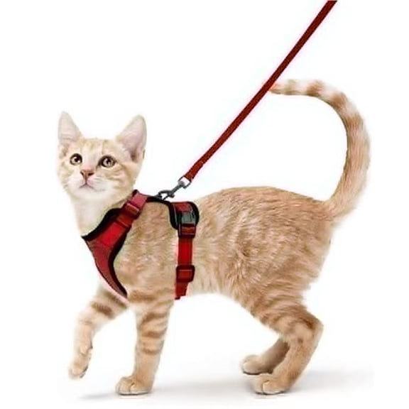 Cat Harness, Cat Harness and Leash for Walking, Escape Proof Soft Adjustable Cat Leash, Breathable Comfortable Vest Easy to Wear Kitten Harness for Outdoor Travel Light Green S